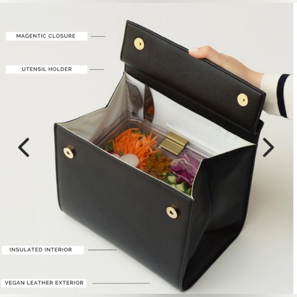 Modern Picnic Large Luncher Tote NWT 5⭐️ - Picture 4 of 9